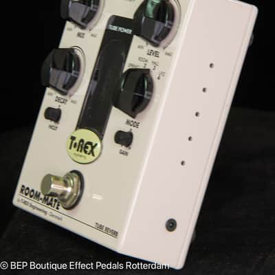 T-Rex Room-Mate 2010s s/n RM5012 image 6