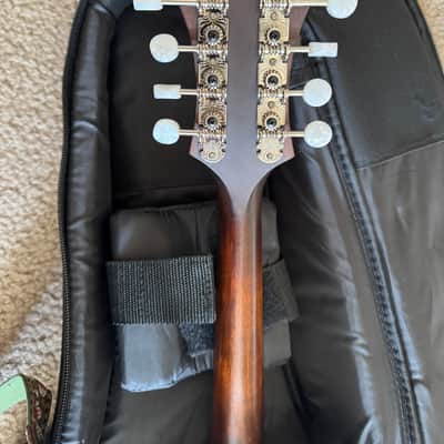 Eastman MD315 F-Style Mandolin 2010s - Satin Lacquer image 7