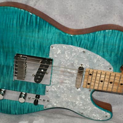 VZ Custom Guitars 24-Fret T-Style w/HSC image 1