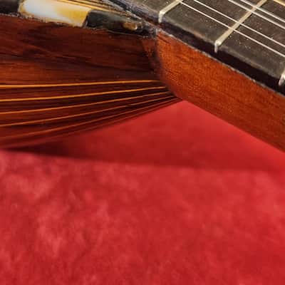 Vintage Bowl-Back Mandolin Natural - FULLY RESTORED - Brazilian Rosewood Back!! image 9