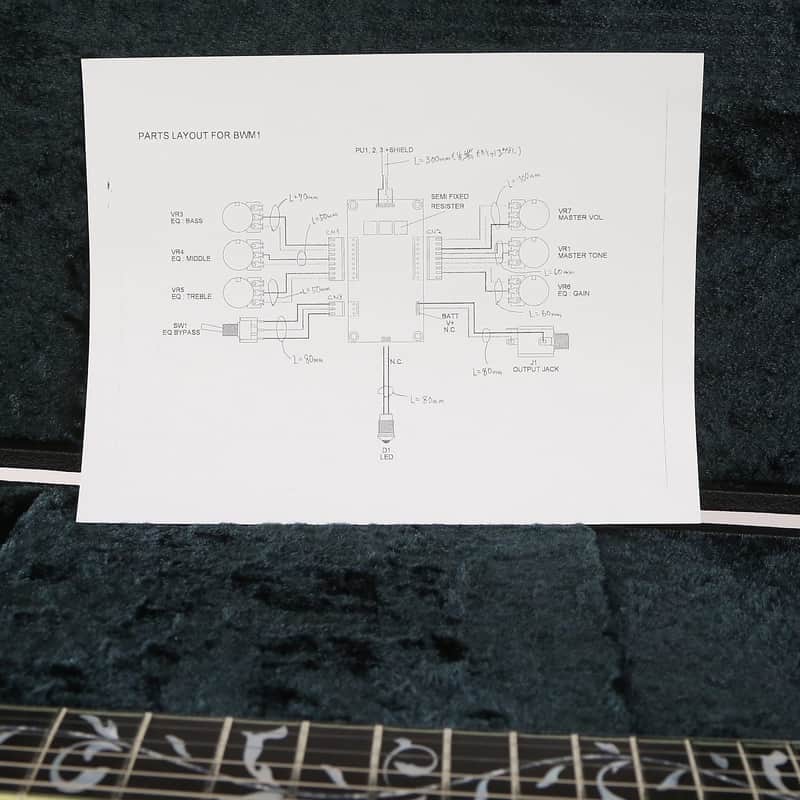 Ibanez BWM1 Bob Weir Signature Artist Reissue image 6