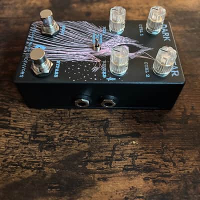 Old Blood Noise Endeavors Dark Star Pad Reverb V2 Limited Edition Relic Music Autumn Black Guitar Pedal image 4