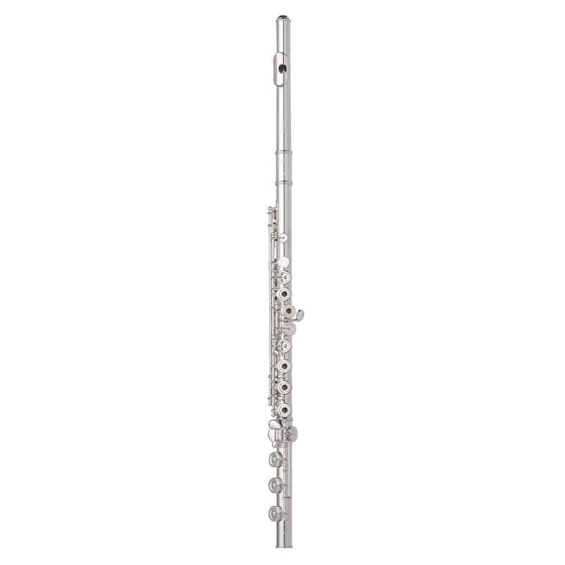 Haynes Amadeus AF680 Flute image 1