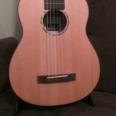 Pepe Romero Pepe Romero Signature Model 6-String with Case - NEW!! 2017 image 3