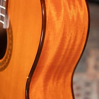 Cordoba C5 Classical Acoustic Guitar with Gig Bag - Used image 11