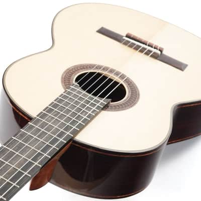 Mach Concert Standard Spruce Rosewood image 10