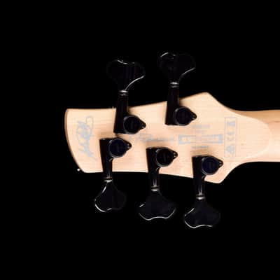 Ibanez ANB205 Adam Nitti Signature 2019 - Transparent Wine Red Burst image 8
