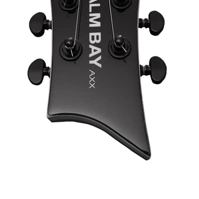 Palm Bay Guitars - Avalanche AXX2 in Black + case image 5