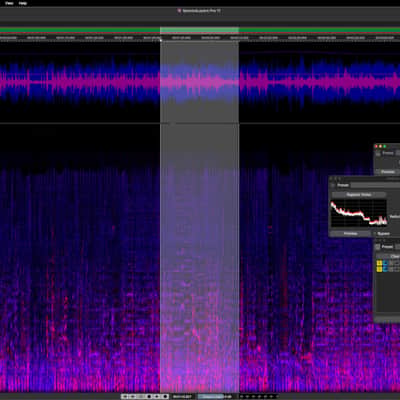 Steinberg SpectraLayers Pro 12 (Download) image 2