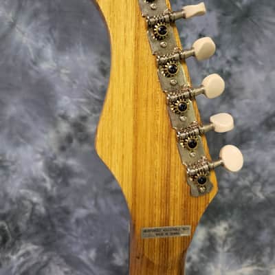 Vintage 1990 Harmony Since 1892 Model 303.1400 Dual Pickup Pro Setup Korea Gigbag image 6