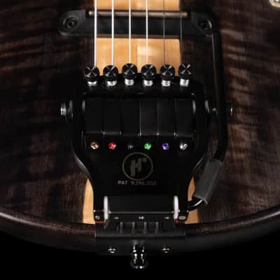Beard Trailhead Square Neck Lap Steel, Maple, Black Ice, Hipshot Doubleshot Installed - NEW image 8