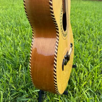 Gallardo Bajo Quinto - Mexican Rosewood Bajo Quinto 2026 - Mexican Rosewood (palo escrito) image 3