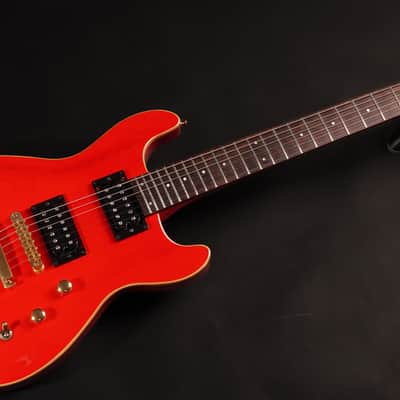 FERNANDES APG-100 electric guitars
