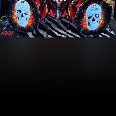 Roland ZZ Top Tejas Tribute Drum Set image 16