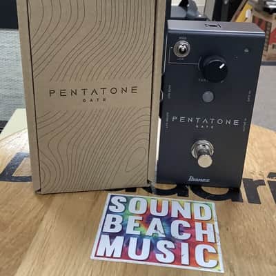 Ibanez Pentatone Gate PTGATE Noise Gate Pedal