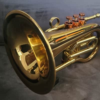 Carol Brass Compact Flugelhorn / Taylor Phat Puppy 2023 - Polished / Lacquered image 20