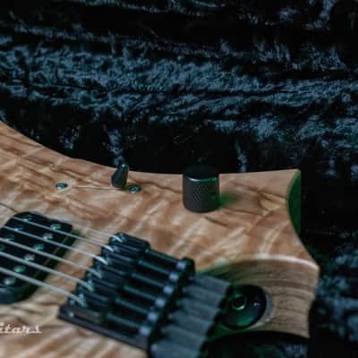 Reichardt Guitars "The Horsemen" 6-String Multiscale image 10