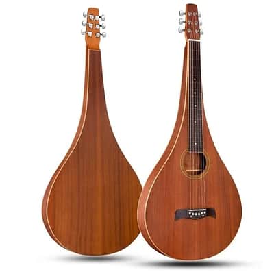 Weissenborn Hollow-Neck Hawaiian-Style Slide Acoustic Guitar for Enthusiasts image 1