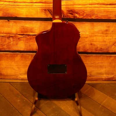 Ortega RTPDLX-ACA Showroom/NAMM image 2