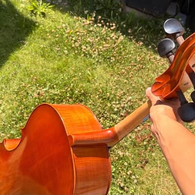 Westbury Eastman cello 4/4 - Hand varnish image 11