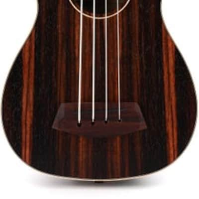 Kala U-Bass Striped Ebony - Fretted Round Wounds image 2