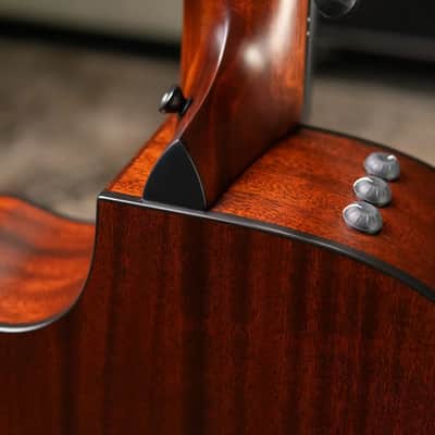 Taylor 314ce-N Grand Auditorium Nylon Acoustic/Electric Guitar with Hardshell Case image 8