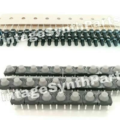 Yamaha Rm1 X Complete Set Pushbutton Tact Switches Switch Groovebox VZ085500 & VS180900