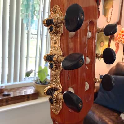 Aria A-405 Full Size Classical Guitar, With Hard Case And Free Shipping image 19