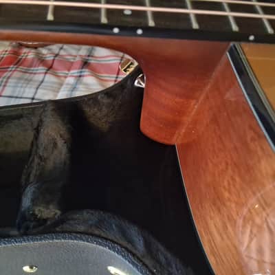Yamaha FGX5 Red Label Dreadnought 2026 - Natural image 7