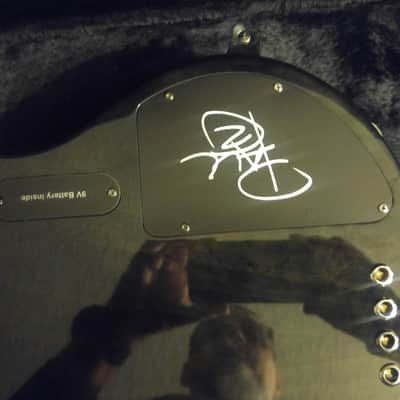 Ibanez PGBIL image 5