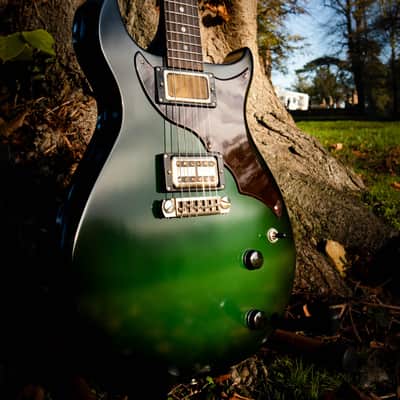 2016 Echopark Arroyo Californian Build - Dean Fertita Model & Spec image 3