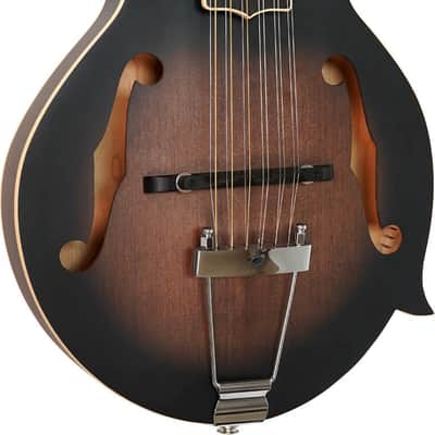 Gold Tone F-12 Long-Scale Manditar A-Style 12-String Acoustic-Electric Mandolin/Guitar, Solid Spruce Top, Tobacco Sunburst Satin image 1