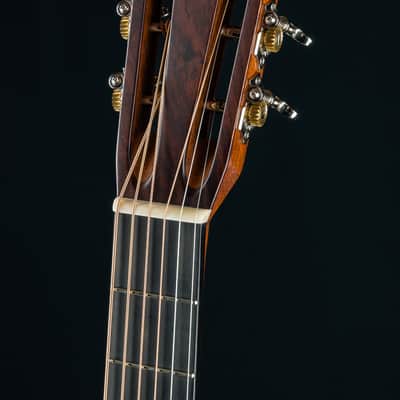 Martin D-28 12-Fret Custom Premium Wild Grain Indian Rosewood and High Altitude Swiss Spruce NEW image 12