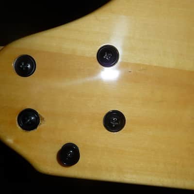 Tennessee Double Neck Maple image 5