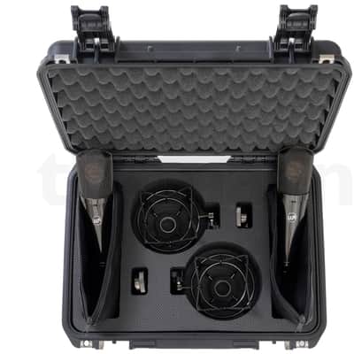 Warm Audio - WA-87 R2 TS Large-Diaphragm Condenser Microphone Stereo Pair - Limited-Edition Titanium (B-Stock) image 2