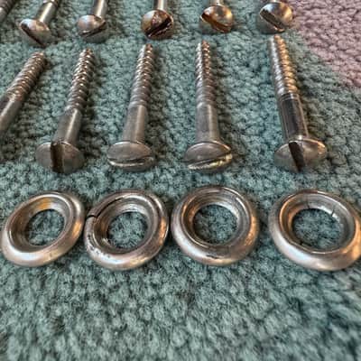 Hagstrom Vintage 39,5mm screws for amps/speakers 60s image 5
