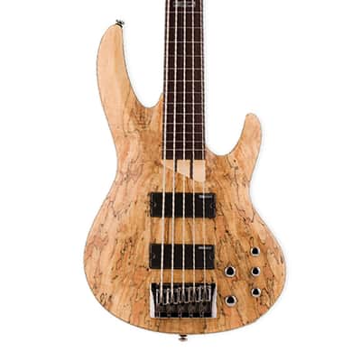ESP LTD B-205SM Fretless 5-String Bass Guitar - Natural Satin - B-Stock image 1