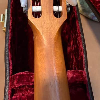 Taylor 114ce-N LTD Ovangkol 2019 - 2020 - Natural image 6