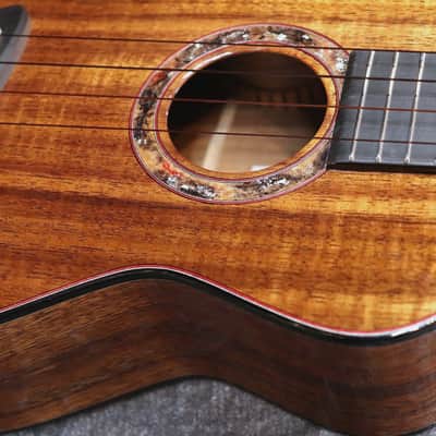 Leaf Instruments Teriha ~照り葉~ #306 2026 - Gloss image 9