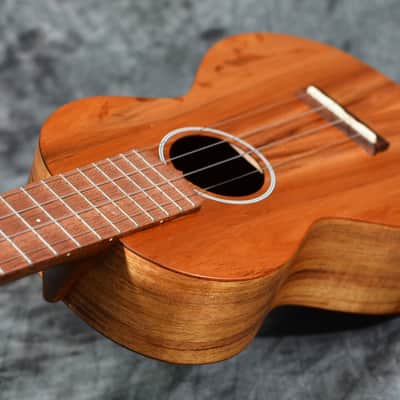 Martin C1K Ukulele Concert Size Koa Wood w/ FREE Same Day Shipping image 6