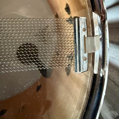 Ludwig Coliseum 14” x 8” Maple Snare Drum 1991 - Black image 15