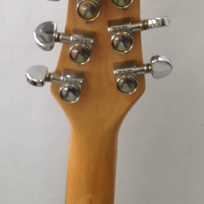 Washburn BT8 Red Maple image 5