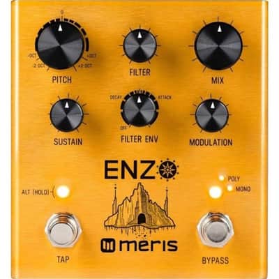 Meris Enzo Multi-Voice Instrument Synthesizer image 1