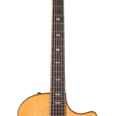 Taylor Custom GA Bearclaw Spruce (108) image 7