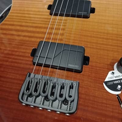 Schecter PT SLS ELITE - ANQFB image 4