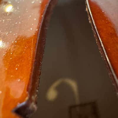 Peter Steinhaus Cello N1 1997 image 19