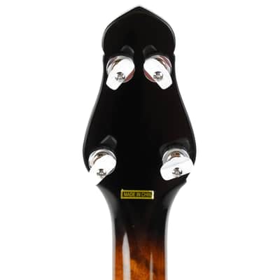 Gold Tone CEB5 5-String Cello Banjo Owned by Victor Wooten image 8