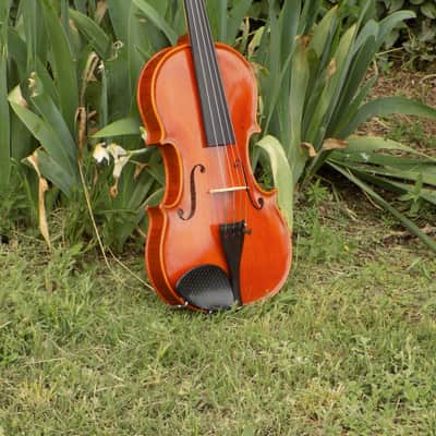 Crow Creek Fiddles Handmade Professional Violin, Red-Brown, With Beautifully Flamed Maple! image 9