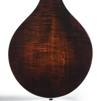Eastman MD505 Black Top Limited A Style Mandolin image 8