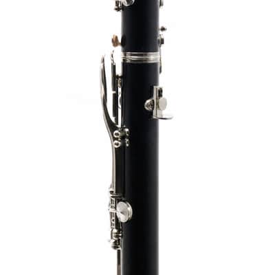 Buffet Crampon R13 Professional Bb Clarinet in Grenadilla SN 542908 image 9